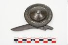 Foto von Bronzephalere (NHMW-PRAE-025077)